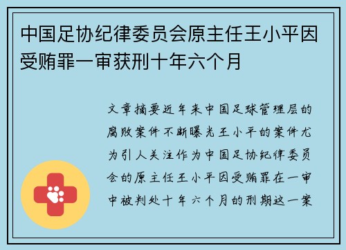中国足协纪律委员会原主任王小平因受贿罪一审获刑十年六个月